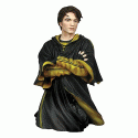 Cedric Diggory Cedric Diggory