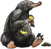 Nifflare Nifflare