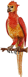 Fågel Fenix Fågel Fenix