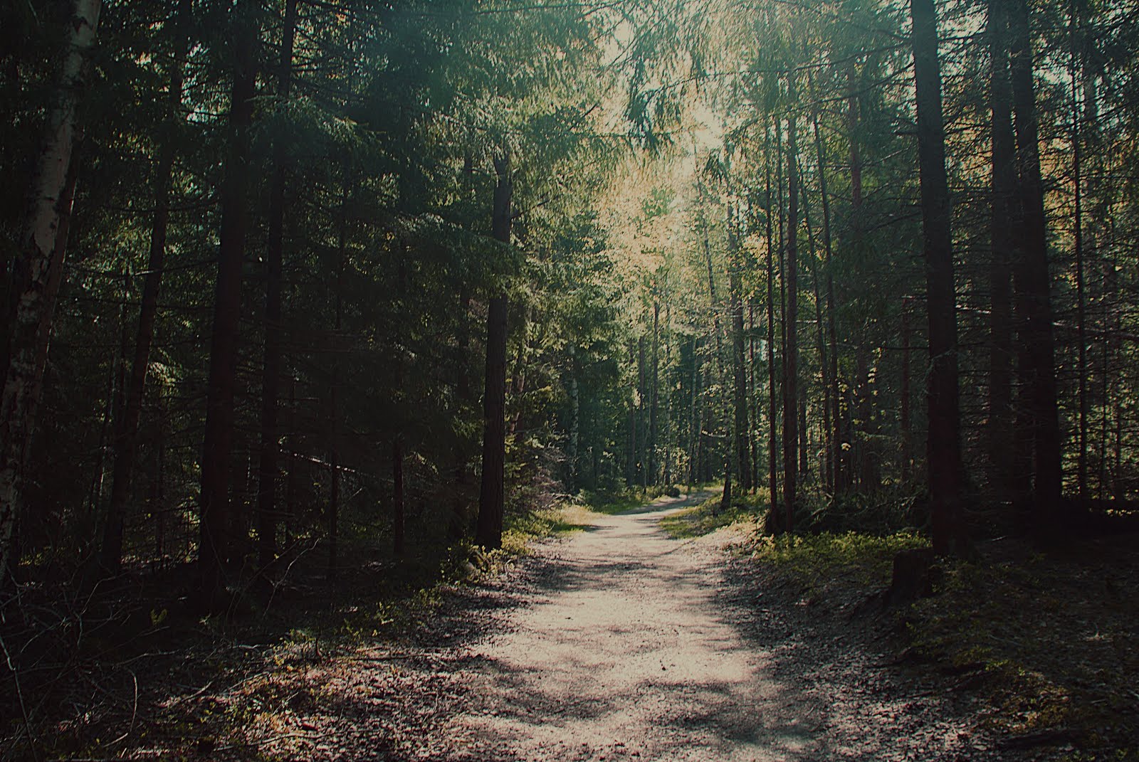 https://www.mugglarportalen.se/images/proxy.php?q=http%3A%2F%2F1.bp.blogspot.com%2F-AegSiCVQYlQ%2FTeYi7CxmAHI%2FAAAAAAAAB0I%2Fn-kK_kY-e90%2Fs1600%2Fi%252527llfollowyouintothedark.jpg