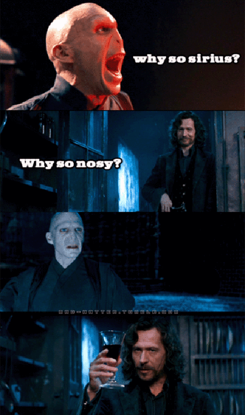 https://www.mugglarportalen.se/images/proxy.php?q=http%3A%2F%2F1.bp.blogspot.com%2F-ZxgaPh1IG2k%2FT615NrdkQ8I%2FAAAAAAAAAUA%2FSUoKY2eRNGw%2Fs1600%2Fpunday-potter-sirius.gif