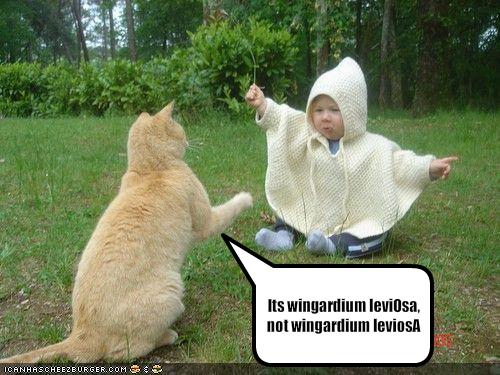 https://www.mugglarportalen.se/images/proxy.php?q=http%3A%2F%2F2.bp.blogspot.com%2F-FBw_t0nTFHo%2FTk_mWzHZ-NI%2FAAAAAAAAAGQ%2Fi0cj8oRWKSw%2Fs1600%2Fwingardium%2Bleviosa.jpg
