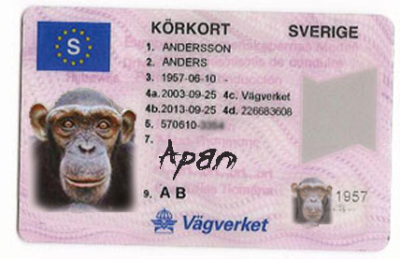 https://www.mugglarportalen.se/images/proxy.php?q=http%3A%2F%2F4.bp.blogspot.com%2F-wCCS1lDpWLE%2FT7FR5xCGPHI%2FAAAAAAAAAHg%2FCJmEJM-tckQ%2Fs1600%2Fkorkort1.jpg