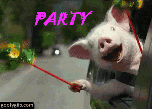 https://www.mugglarportalen.se/images/proxy.php?q=http%3A%2F%2Fcdn3.sbnation.com%2Fimported_assets%2F765907%2Ffunny-gifs-party-hard.gif