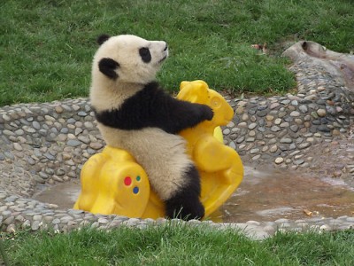 https://www.mugglarportalen.se/images/proxy.php?q=http%3A%2F%2Fcute-n-tiny.com%2Fwp-content%2Fuploads%2F2009%2F12%2Fcute-panda-playing-400x300.jpg