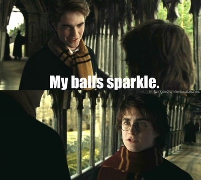 https://www.mugglarportalen.se/images/proxy.php?q=http%3A%2F%2Ffavim.com%2Forig%2F201106%2F15%2Fcedrick-diggory-daniel-radcliffe-edward-cullen-fuck-harry-potter-funny-harry-potter-Favim.com-77092.jpg