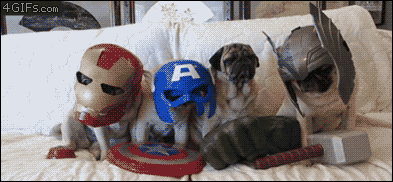 https://www.mugglarportalen.se/images/proxy.php?q=http%3A%2F%2Fi.giphy.com%2F14dwx4AQa9RLj2.gif