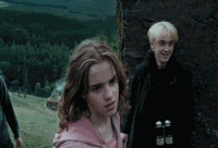https://www.mugglarportalen.se/images/proxy.php?q=http%3A%2F%2Fi1021.photobucket.com%2Falbums%2Faf340%2FShelbyislamer%2FHarry%2520Potter%2FHarry%2520Potter%2520gifs%2Fhermione.gif