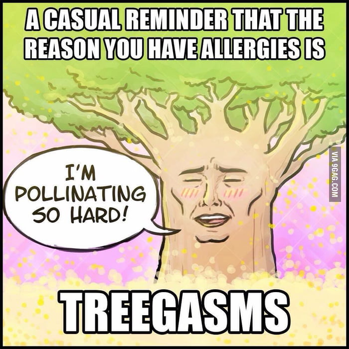 https://www.mugglarportalen.se/images/proxy.php?q=http%3A%2F%2Fimages-cdn.9gag.com%2Fphoto%2Fam0VDN4_700b.jpg