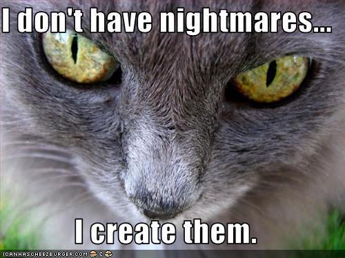 https://www.mugglarportalen.se/images/proxy.php?q=http%3A%2F%2Fimages2.fanpop.com%2Fimages%2Fphotos%2F4100000%2FMore-Funny-Cats-animal-humor-4186066-500-375.jpg