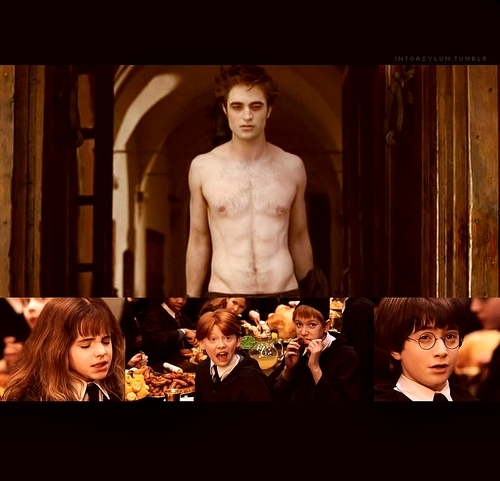 https://www.mugglarportalen.se/images/proxy.php?q=http%3A%2F%2Fimages4.fanpop.com%2Fimage%2Fphotos%2F14600000%2Ffunny-twilight-and-harry-potter-pictures-harry-potter-vs-twilight-14685879-500-481.jpg