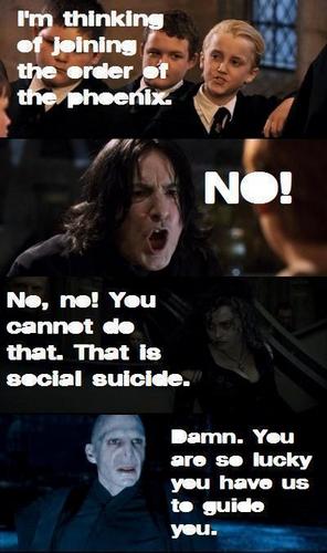 https://www.mugglarportalen.se/images/proxy.php?q=http%3A%2F%2Fimages4.fanpop.com%2Fimage%2Fphotos%2F16900000%2FHarry-Potter-funny-picscams-for-Ellen-haleydewit-16972091-296-500.jpg