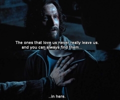 https://www.mugglarportalen.se/images/proxy.php?q=http%3A%2F%2Fimages4.fanpop.com%2Fimage%2Fphotos%2F18400000%2FQuote-s-by-Sirius-3-sirius-black-18409834-240-200.jpg