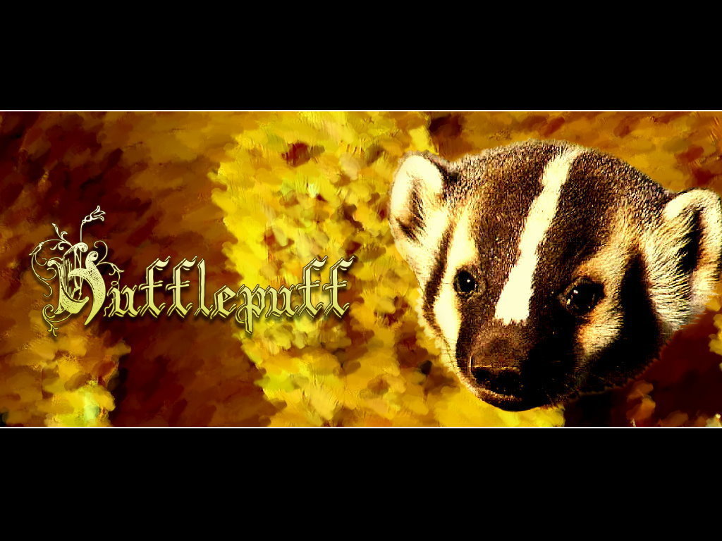 https://www.mugglarportalen.se/images/proxy.php?q=http%3A%2F%2Fimages4.fanpop.com%2Fimage%2Fphotos%2F20500000%2FHufflepuff-Stuff-D-lifesgoodx3-20511761-1024-768.jpg