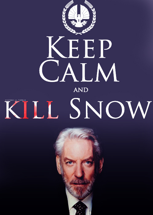 https://www.mugglarportalen.se/images/proxy.php?q=http%3A%2F%2Fimages5.fanpop.com%2Fimage%2Fphotos%2F24900000%2FKeep-Calm-the-hunger-games-24963318-497-700.jpg