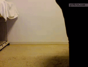 https://www.mugglarportalen.se/images/proxy.php?q=http%3A%2F%2Fimages5.fanpop.com%2Fimage%2Fphotos%2F26300000%2FDog-Gif-animals-26334507-303-231.gif