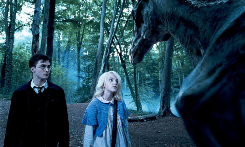 https://www.mugglarportalen.se/images/proxy.php?q=http%3A%2F%2Fimages5.fanpop.com%2Fimage%2Fphotos%2F27800000%2FHarry-Potter-and-the-Order-of-the-Phoenix-harry-and-luna-27870059-799-480.jpg