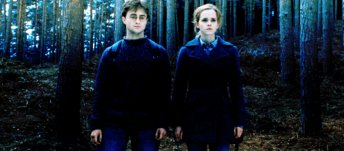 https://www.mugglarportalen.se/images/proxy.php?q=http%3A%2F%2Fimages5.fanpop.com%2Fimage%2Fphotos%2F27800000%2FHarry-and-Hermione-gifs-harry-potter-27867048-500-220.gif