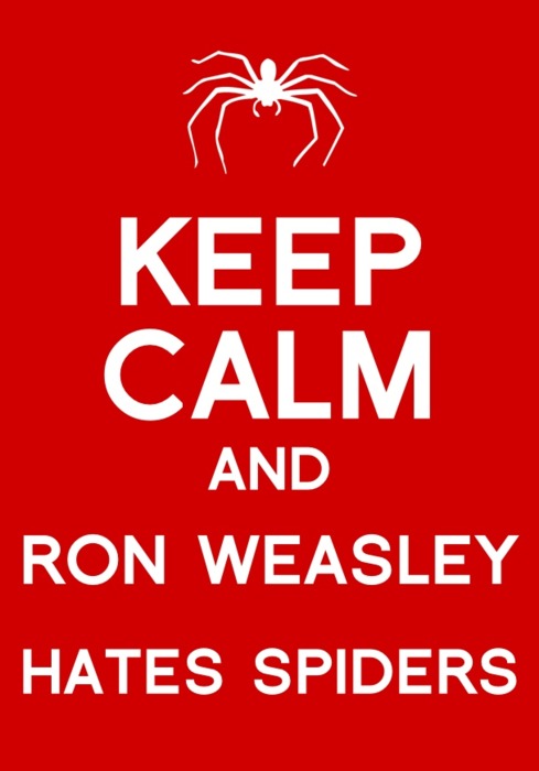 https://www.mugglarportalen.se/images/proxy.php?q=http%3A%2F%2Fimages5.fanpop.com%2Fimage%2Fphotos%2F28200000%2FKeep-Calm-And-harry-potter-28293404-489-700.jpg
