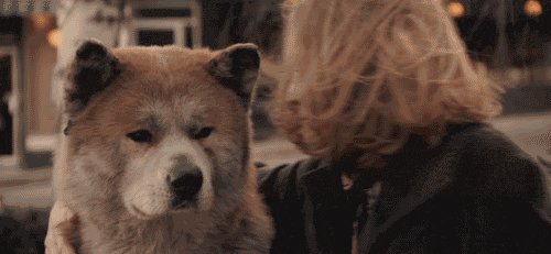 https://www.mugglarportalen.se/images/proxy.php?q=http%3A%2F%2Fimages5.fanpop.com%2Fimage%2Fphotos%2F30200000%2FCate-and-Hachi-Hug-hachiko-30280551-500-231.gif