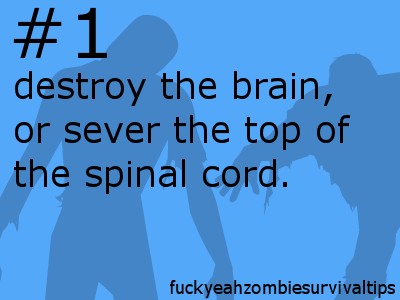 https://www.mugglarportalen.se/images/proxy.php?q=http%3A%2F%2Fimages5.fanpop.com%2Fimage%2Fphotos%2F31000000%2FTips-how-to-survive-a-zombie-apocalypse-31014993-400-300.jpg