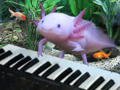 https://www.mugglarportalen.se/images/proxy.php?q=http%3A%2F%2Fmedia.giphy.com%2Fmedia%2FRE5iREBNhI0Ok%2Fgiphy.gif