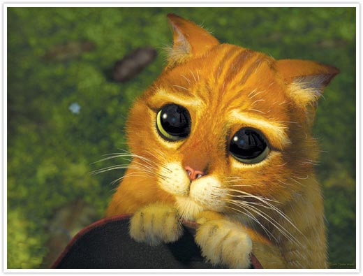https://www.mugglarportalen.se/images/proxy.php?q=http%3A%2F%2Fwww.blup.fr%2Fwp-content%2Fuploads%2F2005_07_21_shrek_cat_no_hotlink_please.jpg