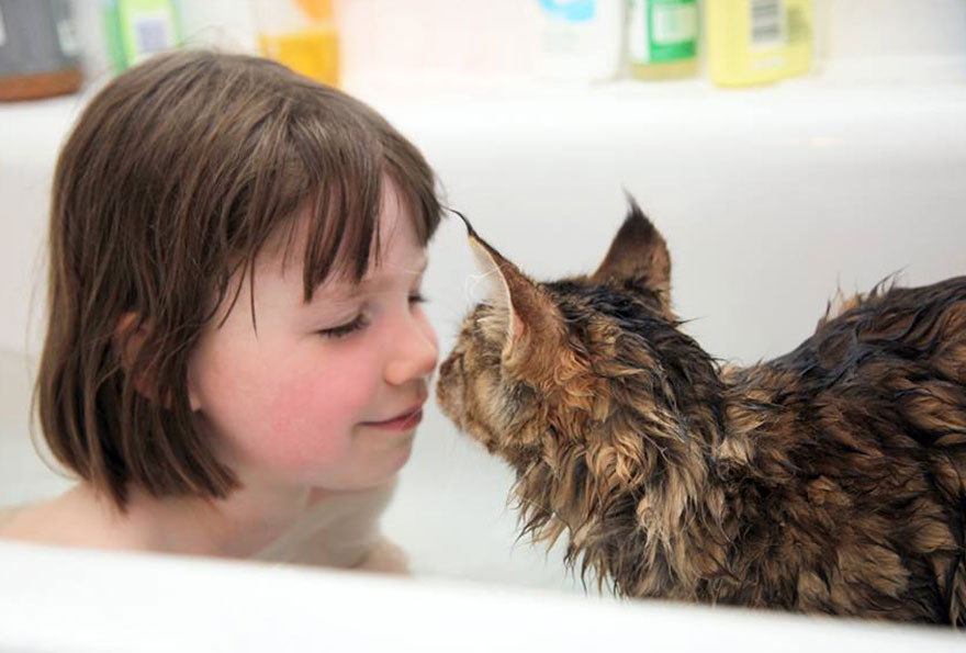https://www.mugglarportalen.se/images/proxy.php?q=http%3A%2F%2Fwww.boredpanda.com%2Fblog%2Fwp-content%2Fuploads%2F2014%2F10%2Fthula-therapy-cat-autistic-artist-iris-grace-14.jpg