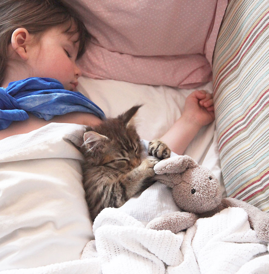 https://www.mugglarportalen.se/images/proxy.php?q=http%3A%2F%2Fwww.boredpanda.com%2Fblog%2Fwp-content%2Fuploads%2F2014%2F10%2Fthula-therapy-cat-autistic-artist-iris-grace-3.jpg