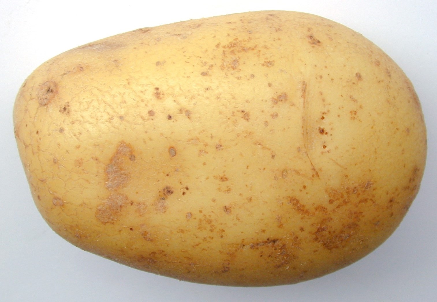 https://www.mugglarportalen.se/images/proxy.php?q=http%3A%2F%2Fwww.freeimageslive.com%2Fgalleries%2Ffood%2Ffruitveg%2Fpics%2Fpotato0730.jpg