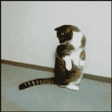 https://www.mugglarportalen.se/images/proxy.php?q=http%3A%2F%2Fwww.threadbombing.com%2Fdata%2Fmedia%2F2%2Fcats.gif