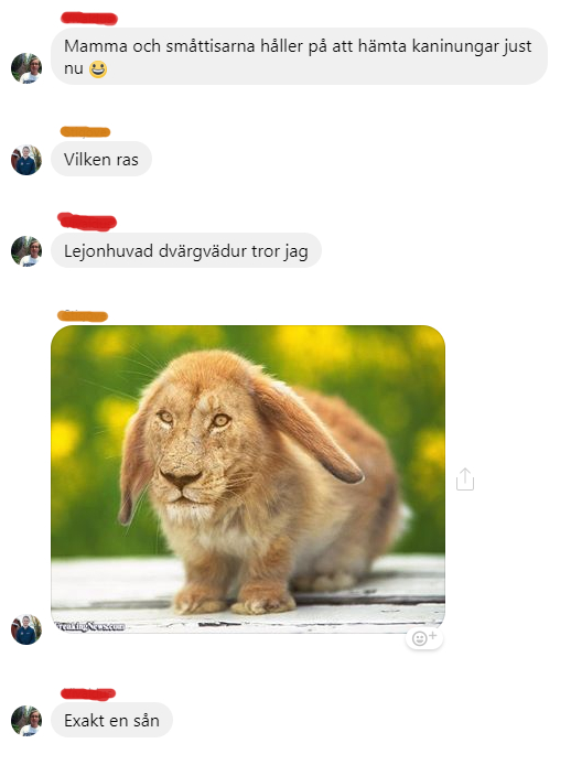 https://www.mugglarportalen.se/images/proxy.php?q=https%3A%2F%2F3.bp.blogspot.com%2F-fRnHIlMCudY%2FW2s0-rFo5uI%2FAAAAAAAAJVw%2Fv0t_NNp9ex0qGScxFc4AxUS5pjvGkyyJwCLcBGAs%2Fs1600%2Flejonkanin.jpg