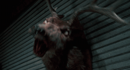 https://www.mugglarportalen.se/images/proxy.php?q=https%3A%2F%2F64.media.tumblr.com%2F4de6e647e3963551c073dfd60cc355ba%2Fc7bdee7767f6459d-52%2Fs540x810%2F37e20ad7bbe985293b9e9a015b2ed4e22b0304d6.gif