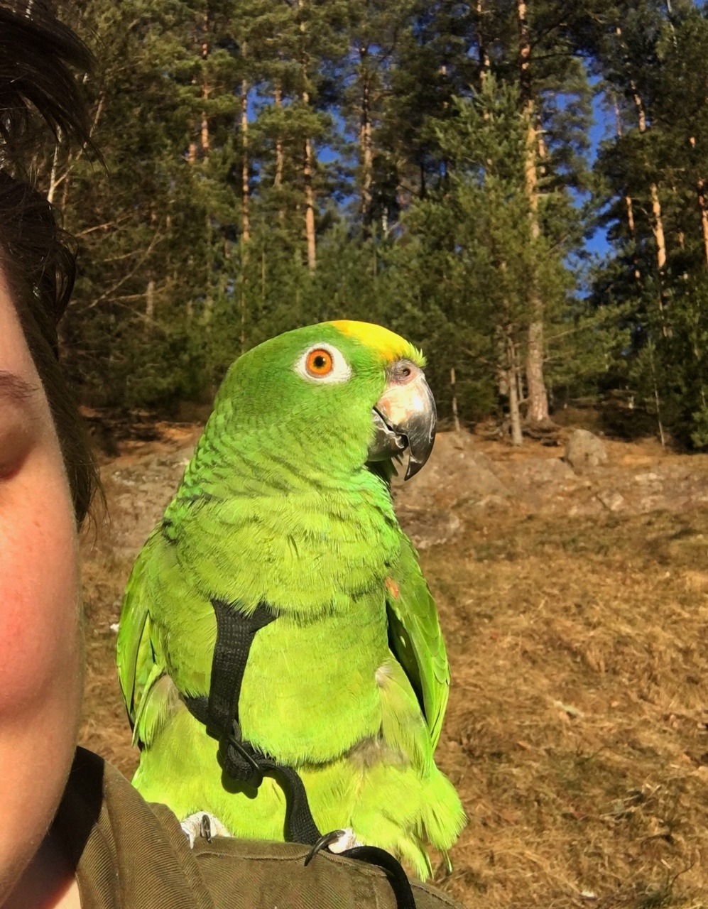 https://www.mugglarportalen.se/images/proxy.php?q=https%3A%2F%2F66.media.tumblr.com%2F3c68ab7eb4ca8b397f7f1c7b84b75e1e%2Ftumblr_pnnbp7Kain1sppe1to6_1280.jpg
