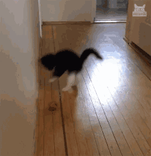https://www.mugglarportalen.se/images/proxy.php?q=https%3A%2F%2Fc.tenor.com%2FmJw5w8xREjYAAAAM%2Fplayful-energy.gif