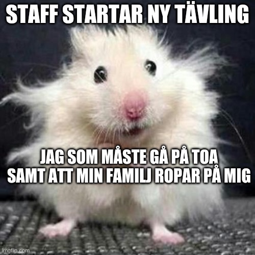 https://www.mugglarportalen.se/images/proxy.php?q=https%3A%2F%2Fi.imgflip.com%2F48591y.jpg