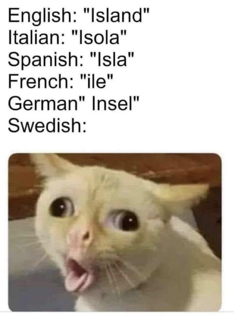 https://www.mugglarportalen.se/images/proxy.php?q=https%3A%2F%2Fi.redd.it%2Fey13eljd74s51.jpg