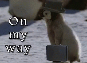 https://www.mugglarportalen.se/images/proxy.php?q=https%3A%2F%2Fmedia.tenor.com%2FzBDTv5bSNRcAAAAC%2Fon-my-way-omw.gif