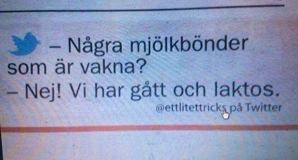 https://www.mugglarportalen.se/images/proxy.php?q=https%3A%2F%2Fpbs.twimg.com%2Fmedia%2FBxQlgZIIYAAS5-7.jpg