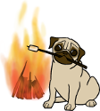 https://www.mugglarportalen.se/images/proxy.php?q=https%3A%2F%2Fwww.mugglarportalen.se%2Fimages%2Fitems%2Fwalpurgis_pug.png